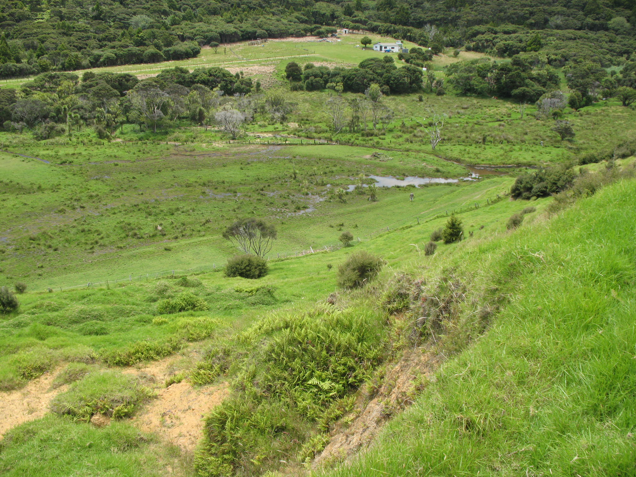 excellent view of wetland jan 2012