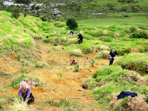 Tangatapu-slip-planting-2