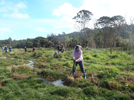 Planting 2013 Tangatapu